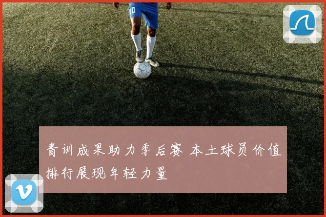 青训成果助力季后赛 本土球员价值排行展现年轻力量