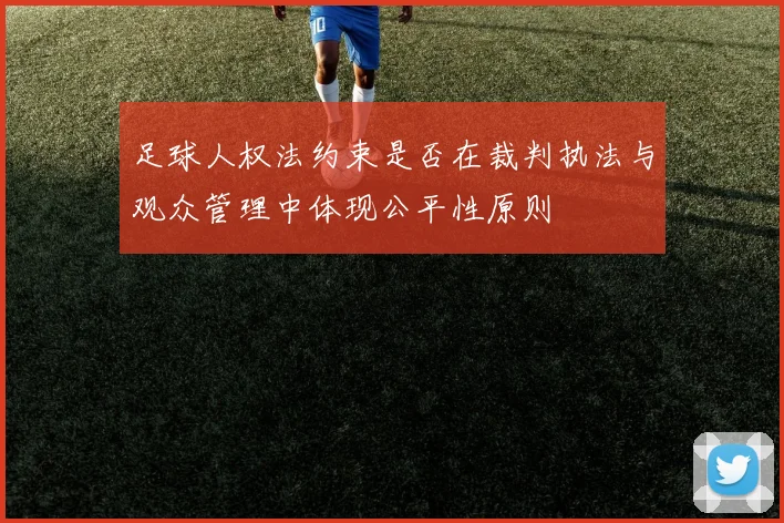 足球人权法约束是否在裁判执法与观众管理中体现公平性原则