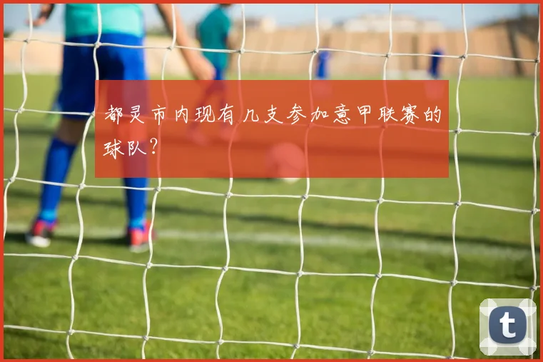 都灵市内现有几支参加意甲联赛的球队？