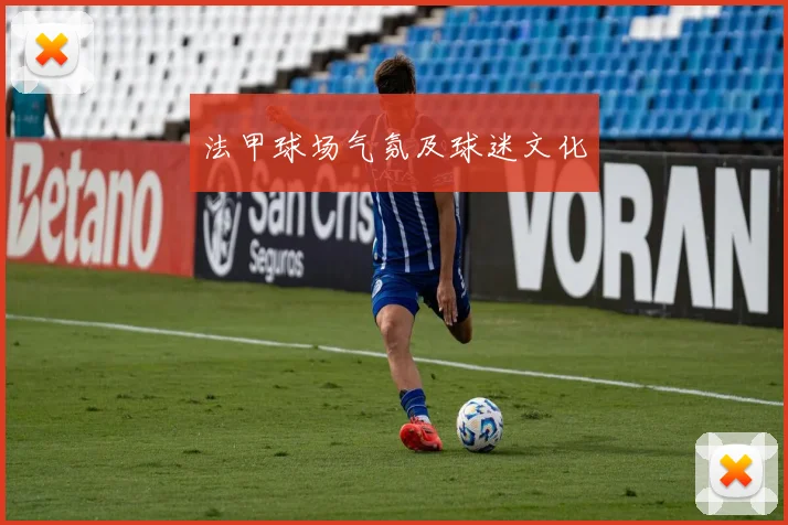 法甲球场气氛及球迷文化