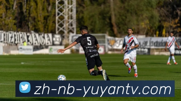 雨燕直播品牌故事