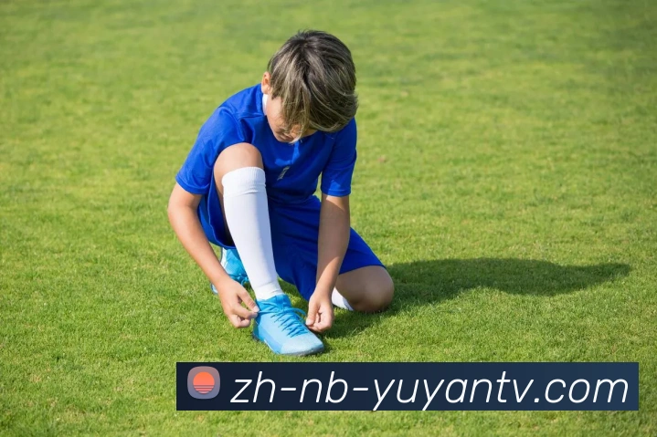 雨燕直播服务体系